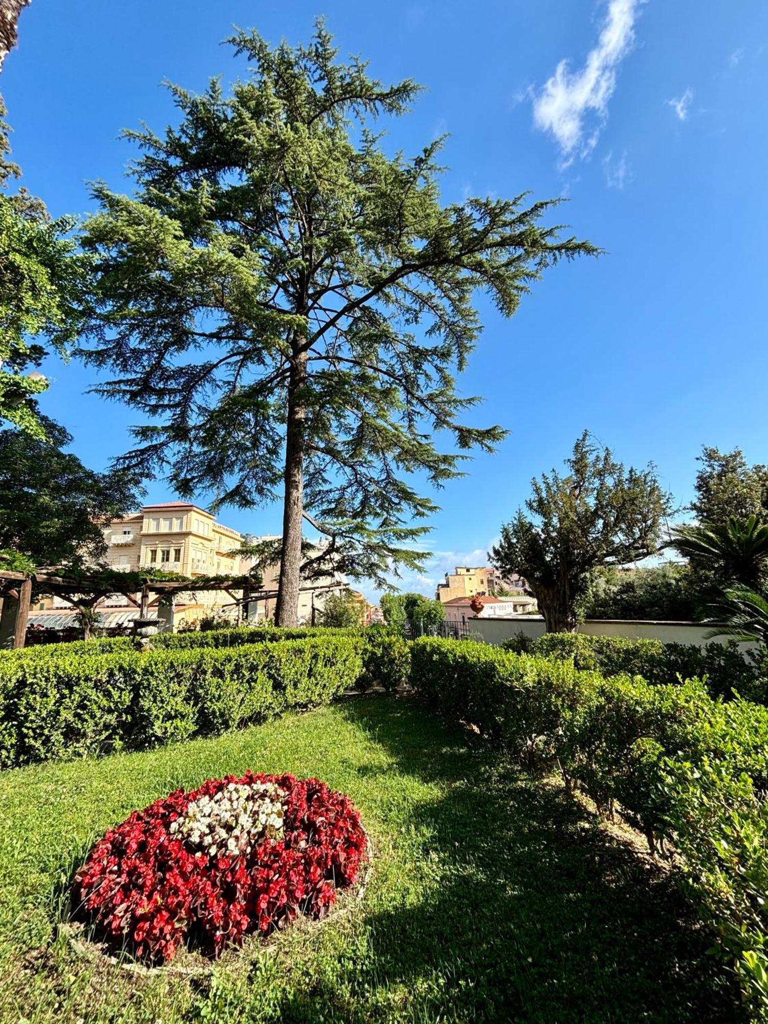 Relais La Rupe Ξενοδοχείο Σορέντο Εξωτερικό φωτογραφία